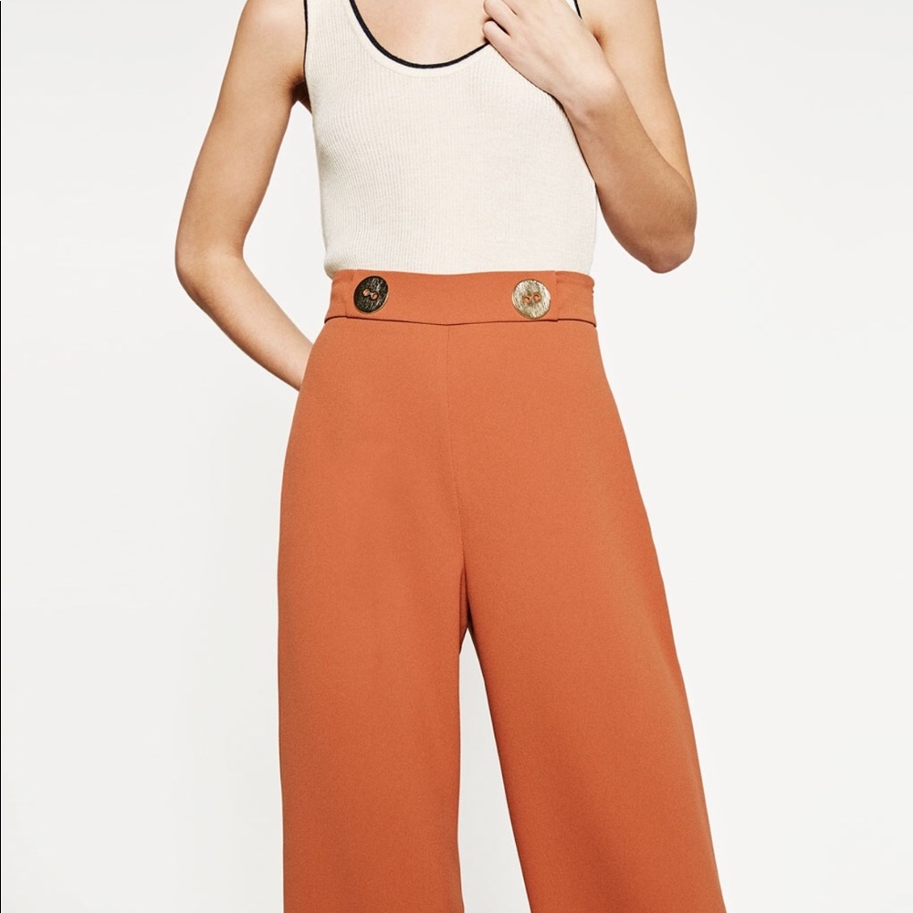 Zara pants